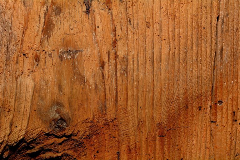 Quel type de bois pour ses meubles ? Habitat, Travaux & Mobilité Quel type de bois pour ses meubles ? Habitat, Travaux & Mobilité