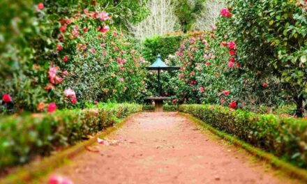 Aménagez votre espace extérieur à Rungis avec style