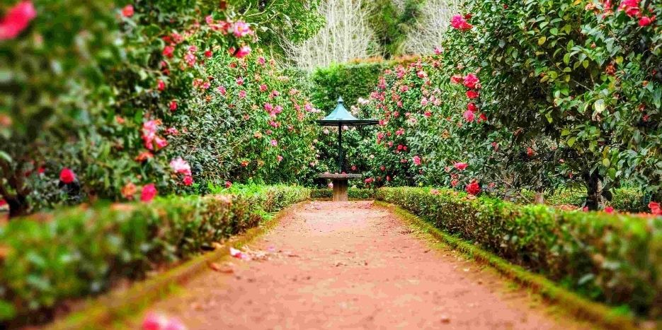 Aménagez votre espace extérieur à Rungis avec style